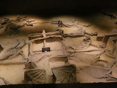 -洛阳周王城天子驾六博物馆