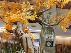 -胖老汉(迎宾路店)