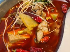 -麻田会 ·鲜活现烹·牛蛙火锅(珠江新城维家思广场店)