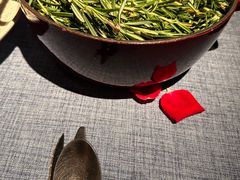 -弦月窗LUNETTE BY AMANDA(复兴路店)