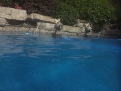 -杭州第一世界大酒店·云曼温泉