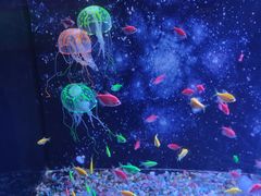 -常州海昌海洋探索馆