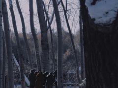 -济南森林公园