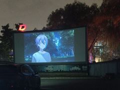 -枫花园汽车电影院(朝阳公园店)