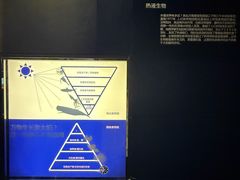 -同济大学四平路校区深海探索馆