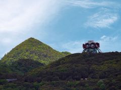 -贵州百里杜鹃风景名胜区