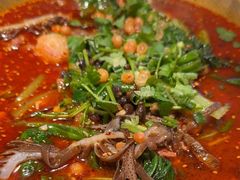 -张翻越·川渝冒菜·武汉黑鸭煲(城北万象城店)