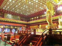 -新加坡佛牙寺龙华院