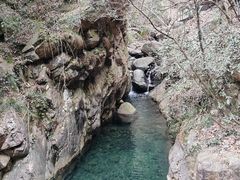 -大奇山国家森林公园