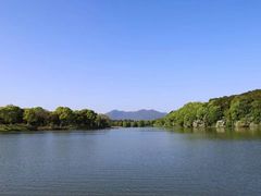 -福建鲤鱼洲酒店