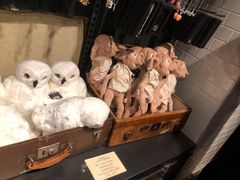 -九又四分之三站台哈利波特商店