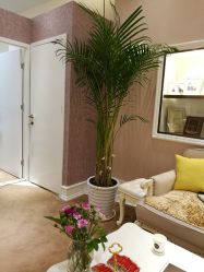 -UP&UP·半永久眉毛眼线机器野生眉