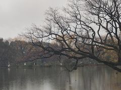 -西湖外事游船(花港观鱼码头)