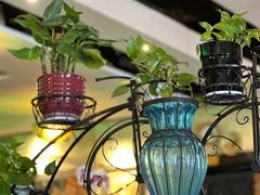 -我的意大利厨房