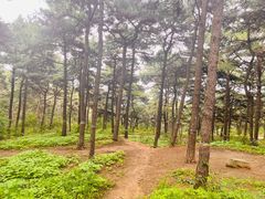 -北京西山国家森林公园