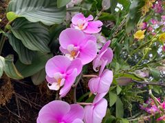 -人民公园(罗湖区)