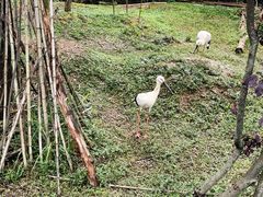 -杭州野生动物世界