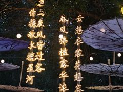 -十亩森林