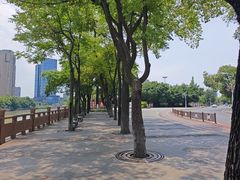 -四川大学(望江校区)
