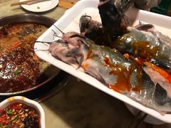 -蜀滋香鲜鱼美蛙火锅(339店)