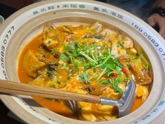 太平湖有机胖头鱼-魏铭鱼头捞饭(晋阳路店)