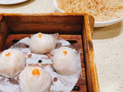 -正哥点心皇子(旺城广场店)