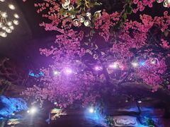 -江湖渔道(万泰汇店)