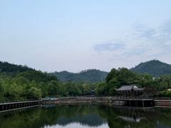 -黄陂区野村谷景区