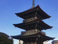 -医王山·飞騨国分寺