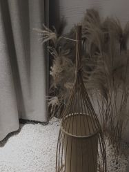 -ANNIL安奈尔·NASX超透白·科技抗衰·问题性肌肤管理