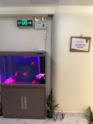 -海涛医疗美容·面部抗衰·注射美鼻