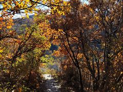 -玉渡山自然风景区