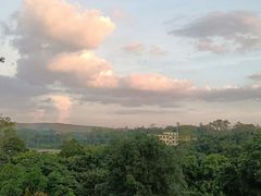 -南宁良凤江国家森林公园