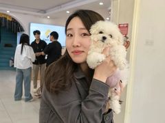 -翊宠yipet猫狗购宠庄园犬舍•猫舍