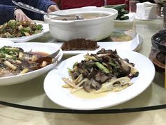 -铁山坪森林公园