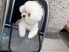 -FAELING PETS美天灵宠物(富力广场店)