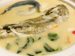 -肆月河豚·新淮扬(金融街店)