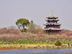 -上海海湾国家森林公园