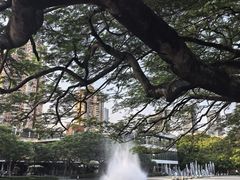 -缘生态云南菜·野生菌庭院餐厅(华侨城店)