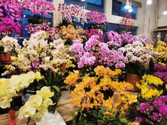 -双季花艺园艺市场(浦东店)