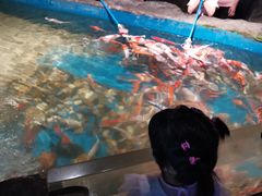 -石家庄海洋公园