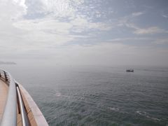 -演武大桥观景平台