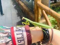 -北镇龙岗子生态园