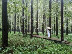-上海怡沁园度假酒店