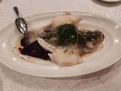 -红棉中餐厅·广州海航威斯汀酒店