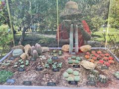 -中国科学院西双版纳热带植物园