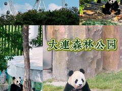 -大连森林动物园