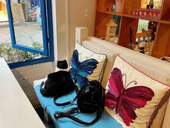 -Anne猫窝咖啡屋