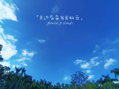 -深圳仙湖植物园