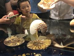 -青岛贝壳博物馆